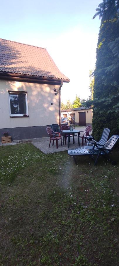 Apartamenty Z Ogrodem Nr 1 Studio 姆拉哥沃 外观 照片