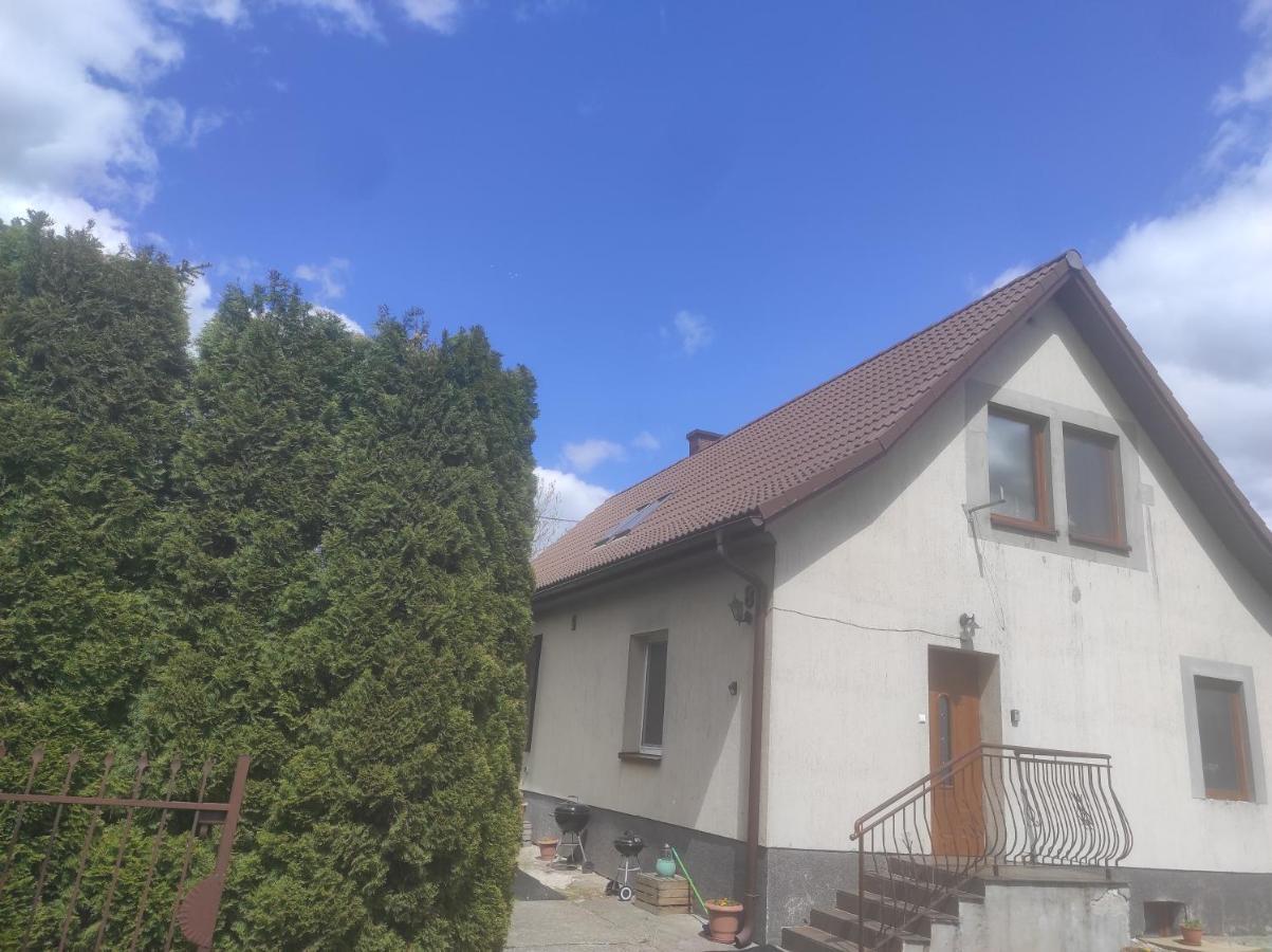 Apartamenty Z Ogrodem Nr 1 Studio 姆拉哥沃 外观 照片