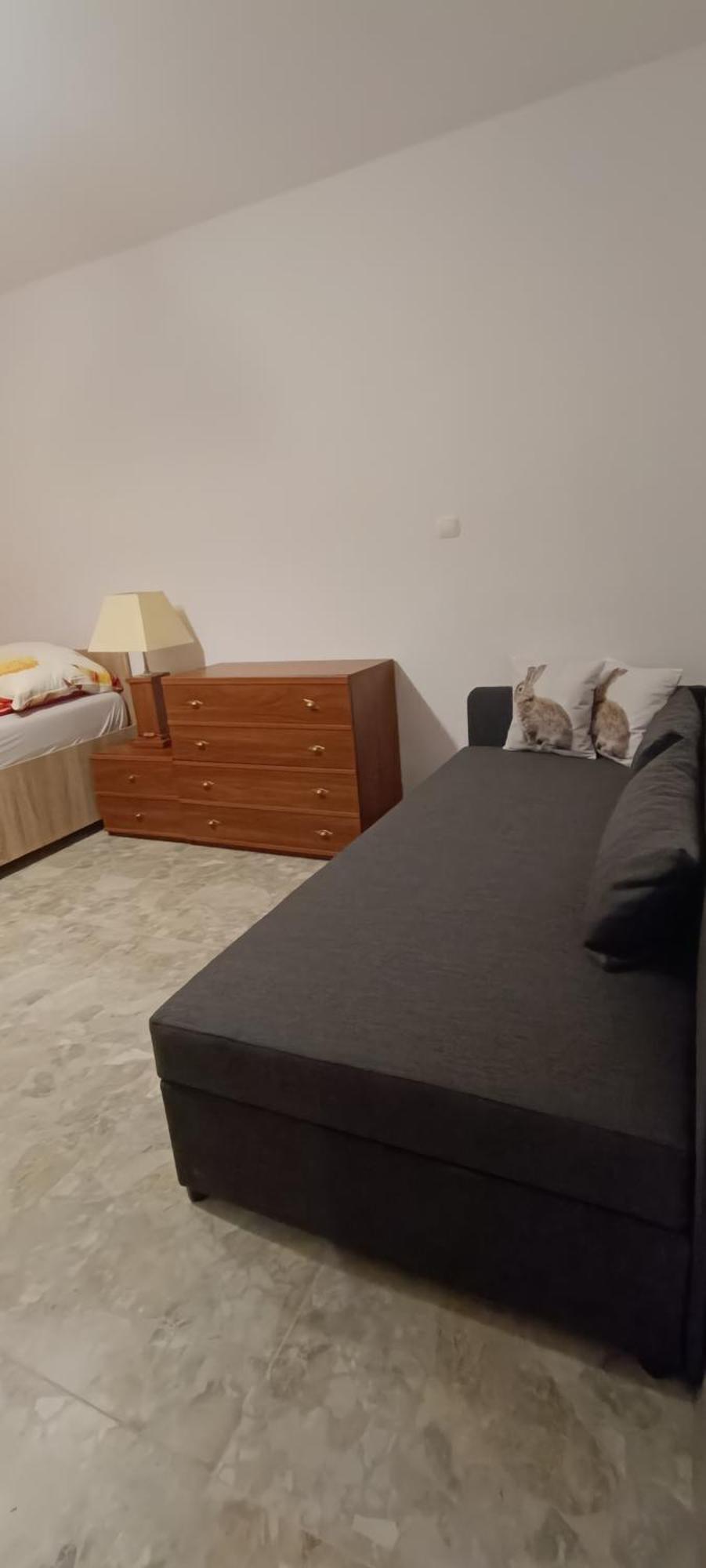 Apartamenty Z Ogrodem Nr 1 Studio 姆拉哥沃 外观 照片